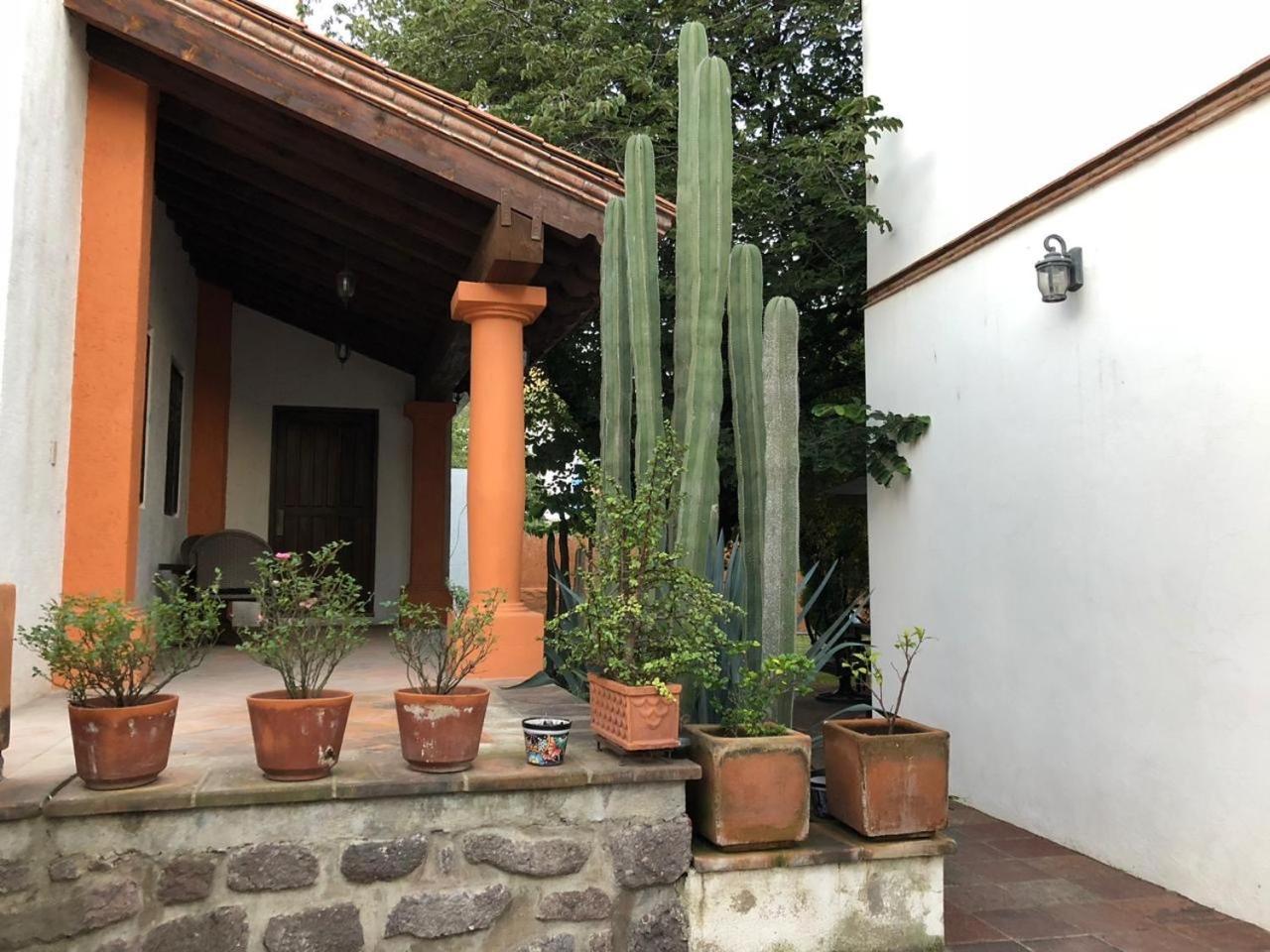 Las Alamedas Departamentos Centricos Con Estacionamiento Privado Guanajuato Bagian luar foto